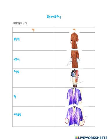 Dress Matching Chart Activity
