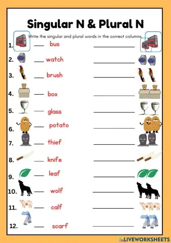 Plural nouns ( es, ves)