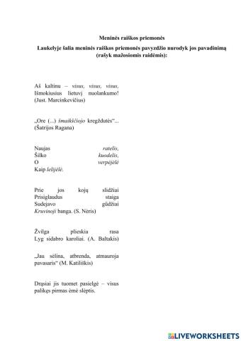 Meninės raiškos priemonės