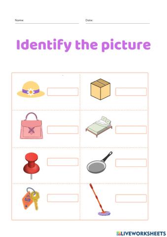 Identify the picture