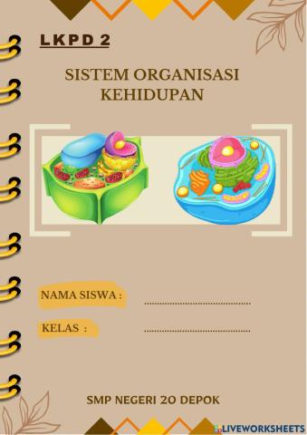 Sistem organisasi kehidupan