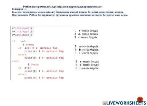 Python программалау тілі