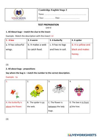 Unit 6 Cambridge Level 2 Practice Test