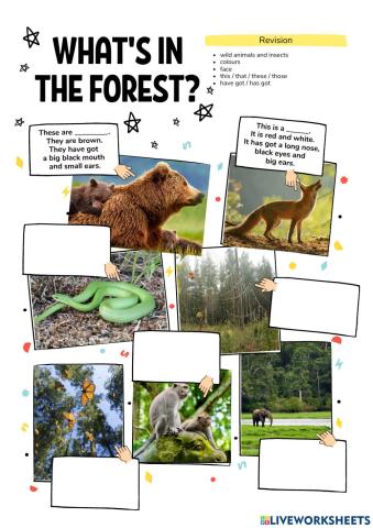 What's in the forest?