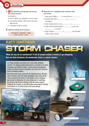Storm chaser