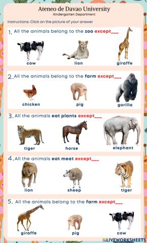 Cycle 5 Session 3 Classifying Animals