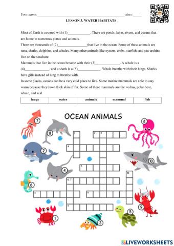 Lesson 3. water habitats