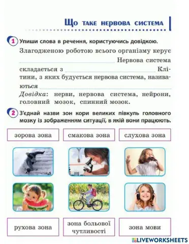 Що таке нервова система