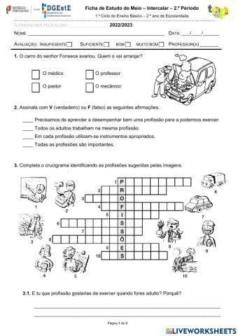 Ficha Intercalar de EM