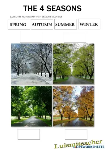 The 4 seasons