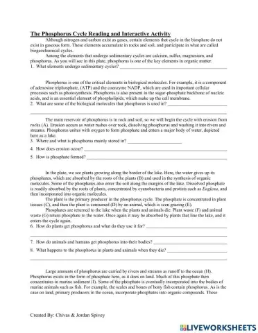 Phosphorus Cycle Reading - Interactive Activity