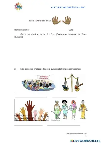 Dret humans activitats