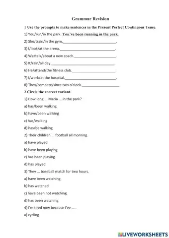 Present Perfect Continuous