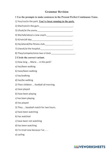 Present Perfect Continuous