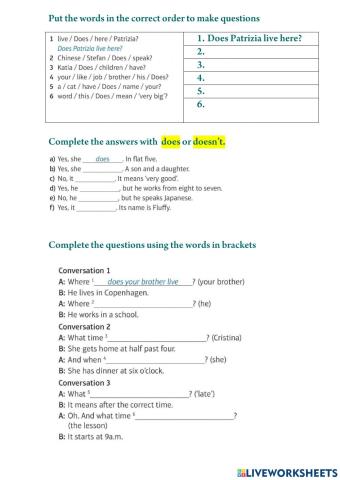 Present Simple - questions SO starter