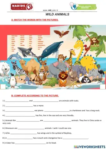 7th Grades Wild Animals-1