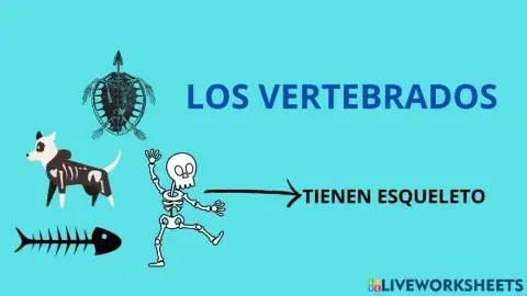 Animales vertebrados e invertebrados