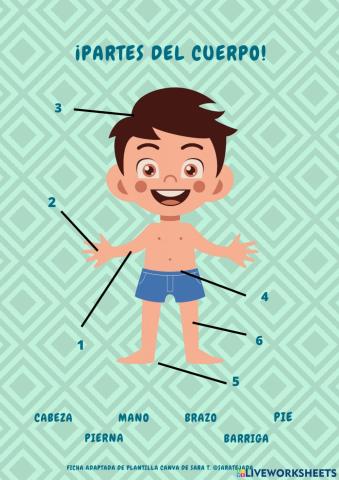 Partes del cuerpo.
