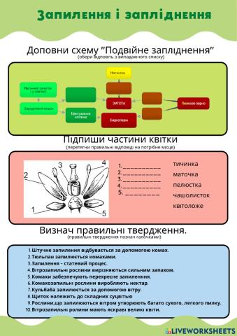 Запилення й запліднення