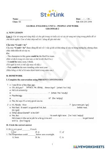 Viet Teacher-S6-WEEK 24-U6-GRAMMAR 2