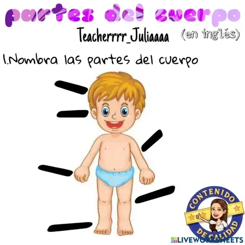 Partes del cuerpo en español