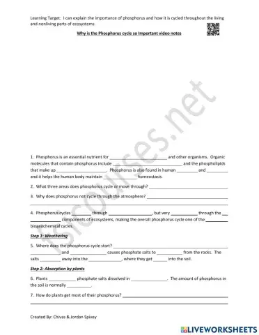 Why is the Phosphorus cycle so Important video notes