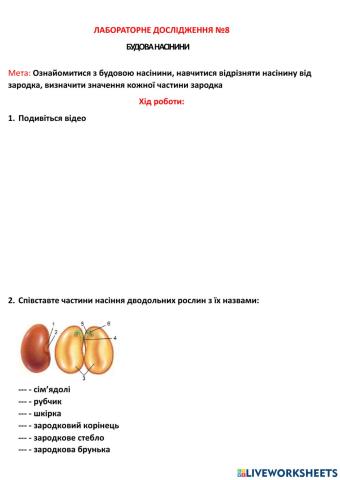Будова насіння