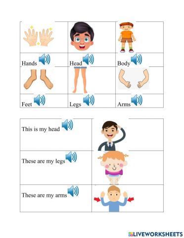 Review unit 6 my little island
