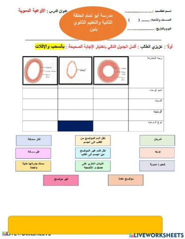 الاوعية الدموية