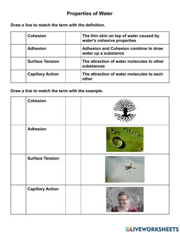 Properties of Water