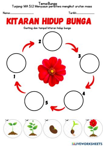 MA: 5.1.2 Menyusun peristiwa mengikut urutan masa