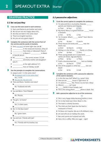 SpeakOut-Starter-Extra-Grammar-U2