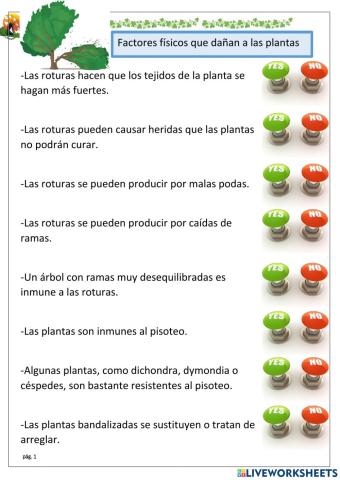 Daños físicos y químicos