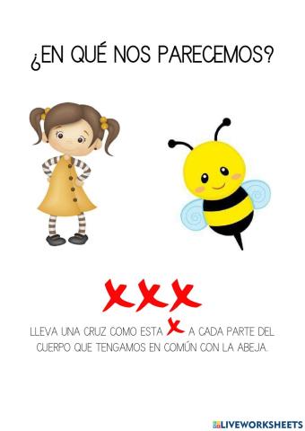 Partes del cuerpo de la abeja y la niña