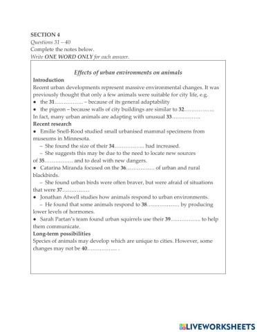 Cam 13. Test 1. Section 4