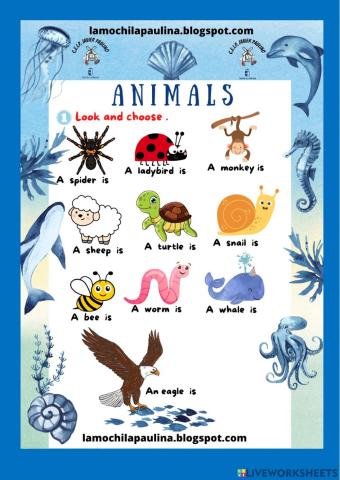 Animals