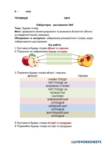 Лабораторне дослідження будови плоду.