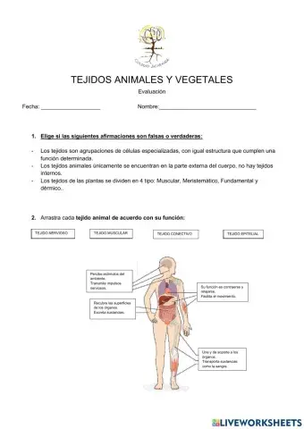 Tejidos animales y vegetales
