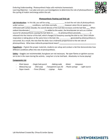 Photosynthesis Floating Leaf Disk Lab