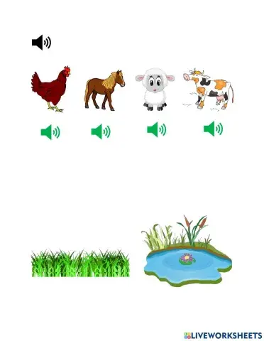 What do the animals do?