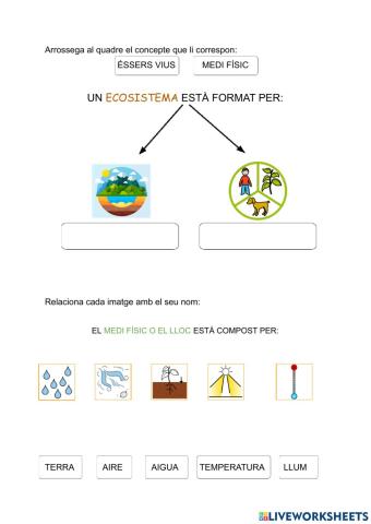 Definició Ecosistema