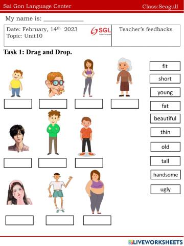 Seagull.FF1.U10(14.02)