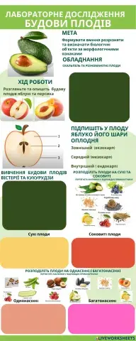 Лабораторне дослідження будови плодів