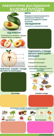 Лабораторне дослідження будови плодів
