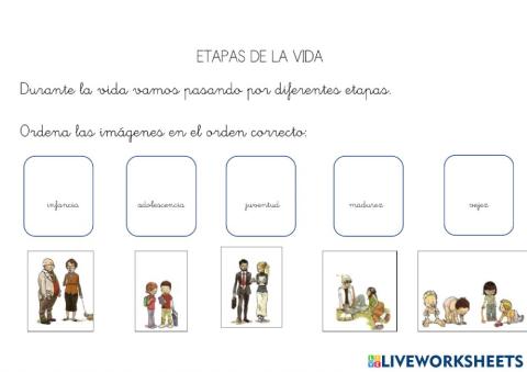 Etapas de la vida