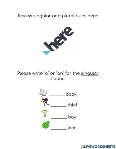 Singular and plural nouns