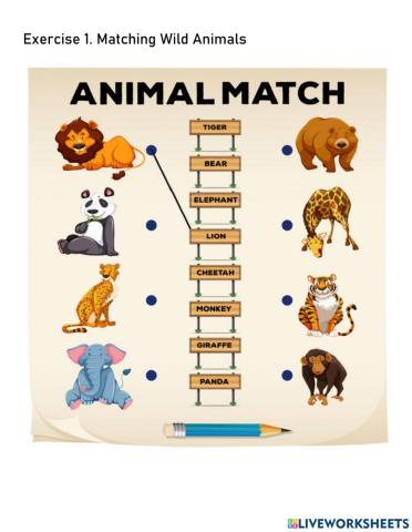 Homework about Wild Animals