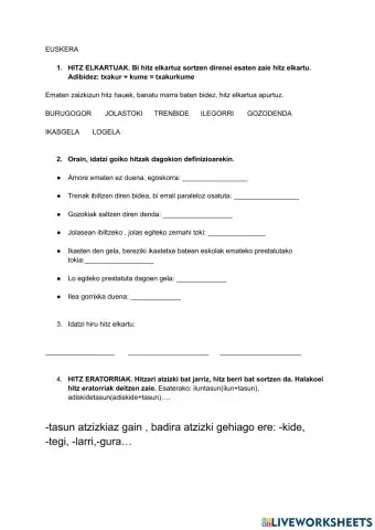 Euskera hiztegia eta gramatika