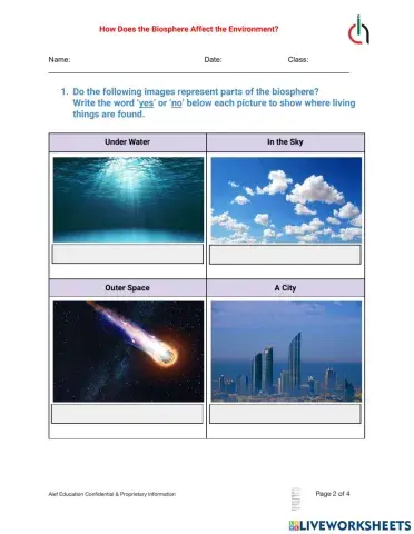 How Does the Biosphere Affect the Environment?