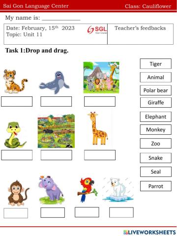 Cauli.FF1.U11(15.02)